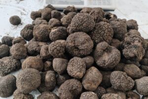 ee8c6c8d-0444-4282-b929-2f1c4a1ff274-ezgif.com-resize