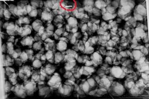 27591fba-d03a-45d2-9284-faa953961570-ezgif.com-resize