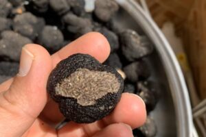 IMG_0582-ezgif.com-resize