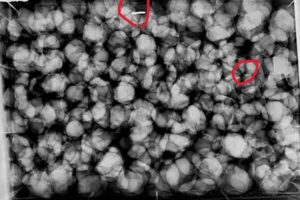 WhatsAppImage2026-01-31at18.19.20-ezgif.com-resize