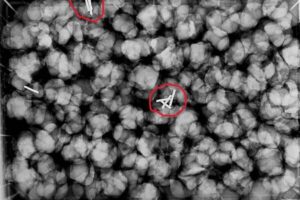 WhatsAppImage2026-01-31at18.19.21-ezgif.com-resize