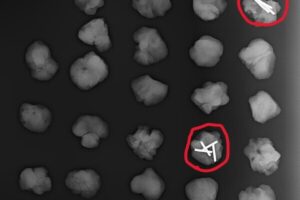 WhatsAppImage2026-01-31at18.19.22-ezgif.com-resize