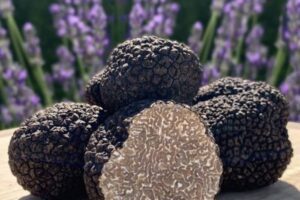 WhatsAppImage2026-02-03at15.55.29-ezgif.com-resize