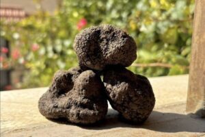 WhatsAppImage2026-02-03at15.55.43-ezgif.com-resize