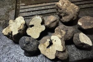 f68e0eed-94c9-4a47-8801-e325f082b741-ezgif.com-resize